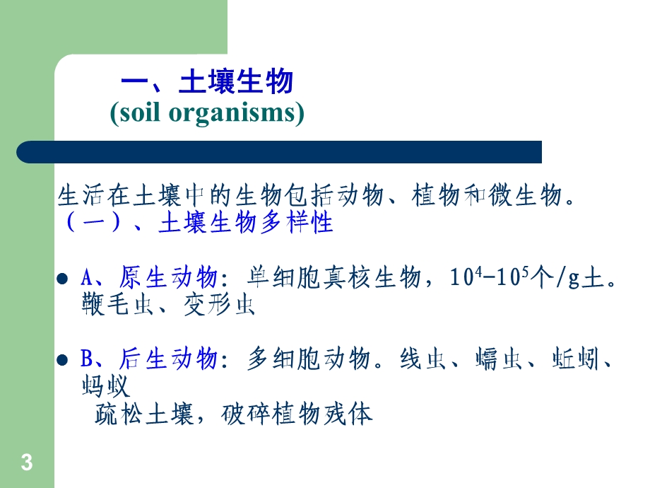 土壤生物与土壤酶课件.ppt_第3页