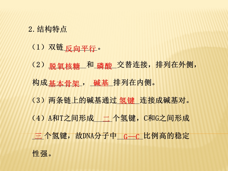 基因是有遗传效应的DNA片段习题课全解课件.ppt_第3页