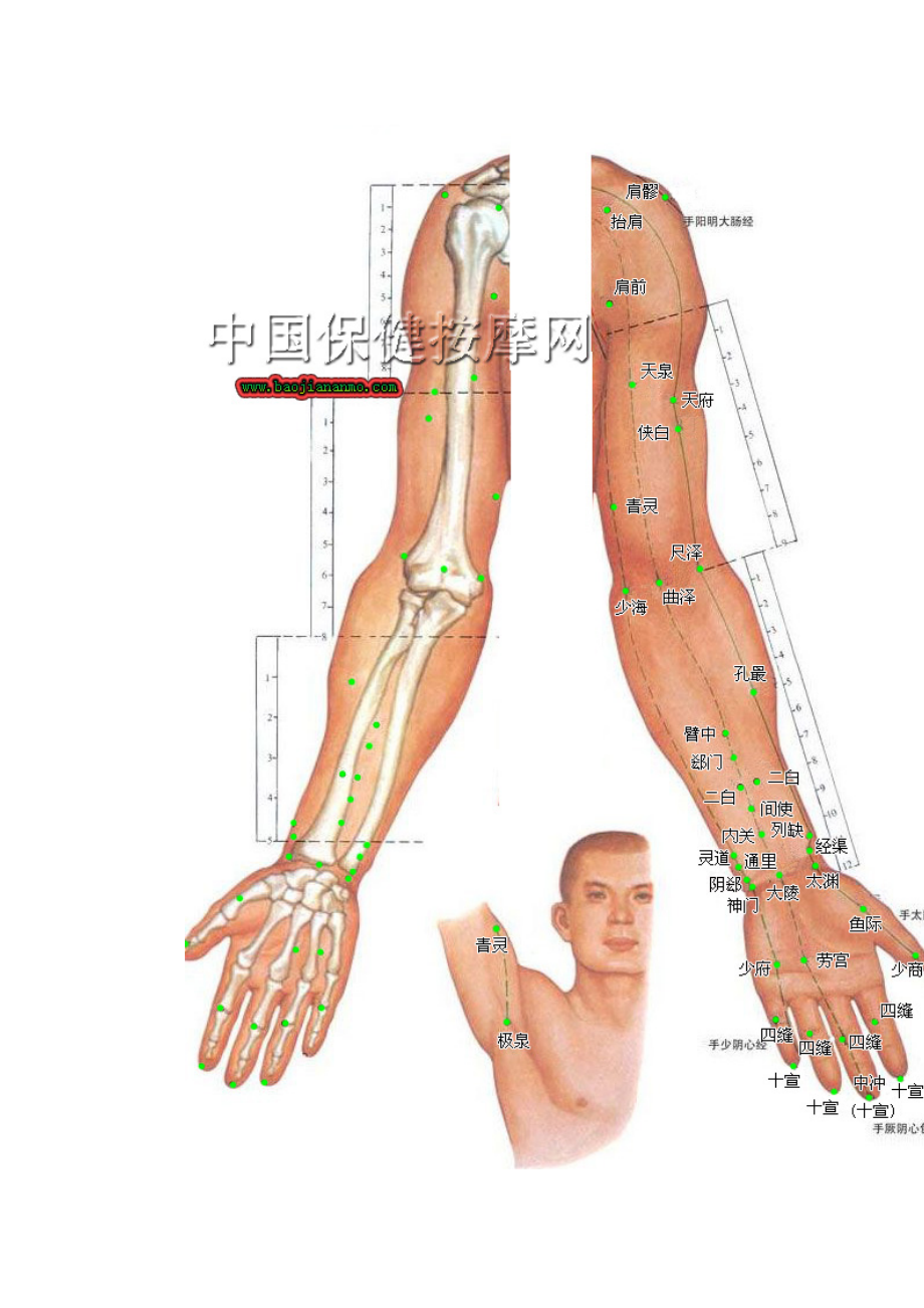 （精品）人体穴位分布图(超清晰彩图版).doc_第2页