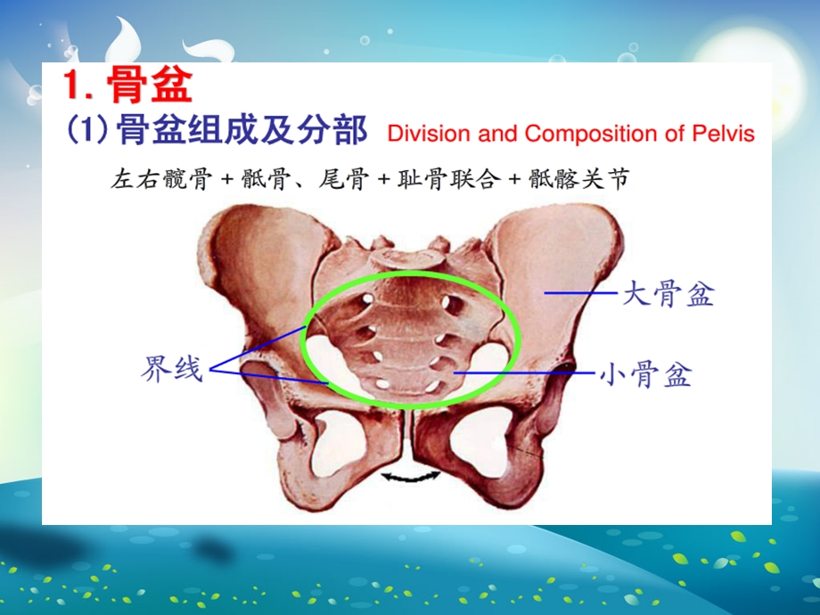 骨盆骨折术后护理查房ppt课件.ppt_第3页