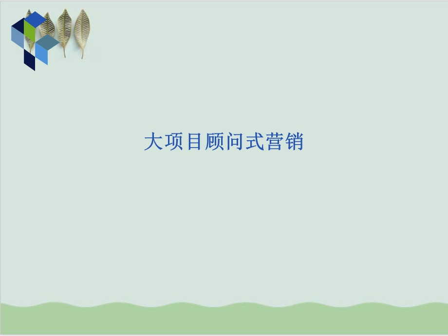 大项目顾问式营销技术课件.ppt_第1页