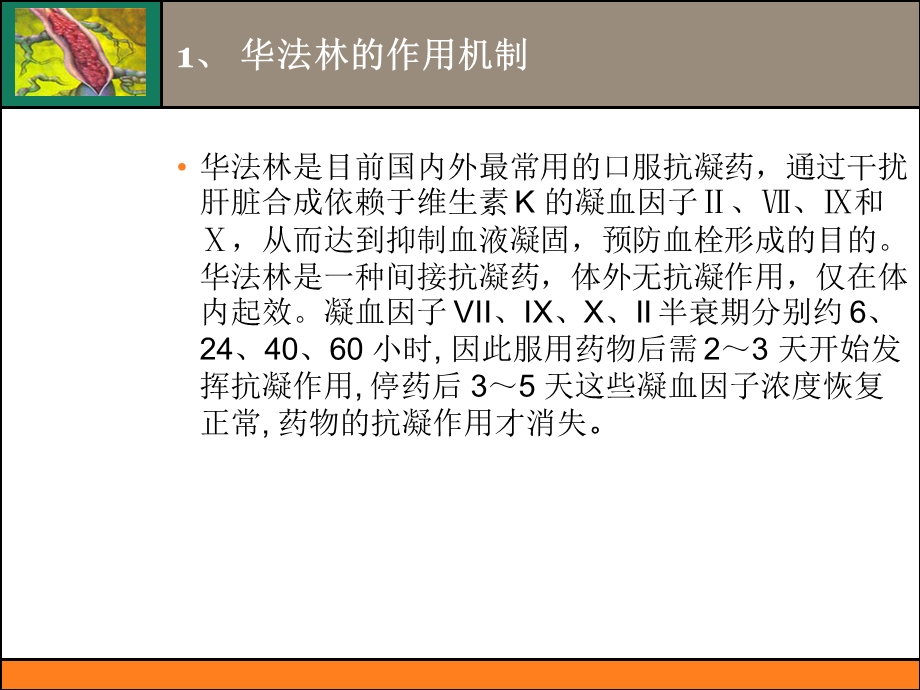 华法林使用注意事项课件.ppt_第3页