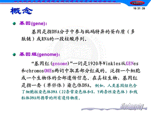 基因组的结构与功能课件.ppt