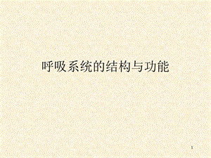 呼吸系统的结构与功能课件.ppt