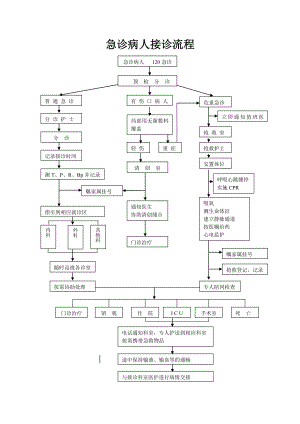 急诊病人接诊的流程的定稿.doc