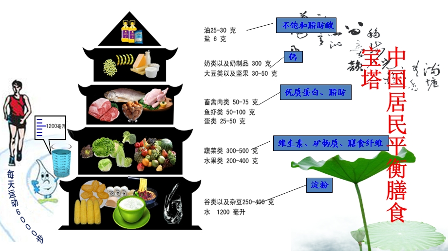 饮食误区与身体健康课件.ppt_第2页