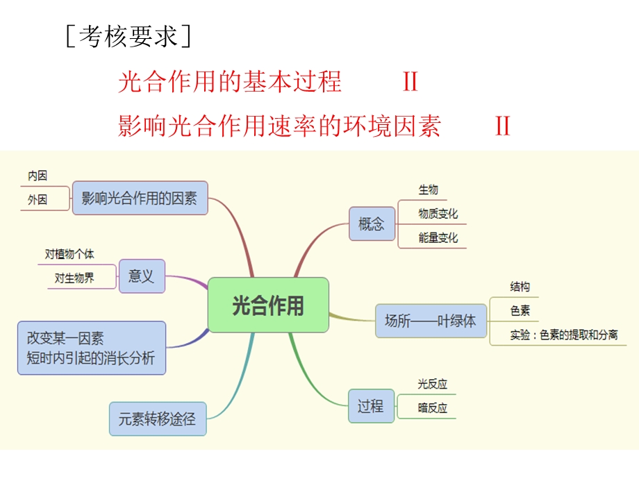 高三一轮复习：光合作用课件.pptx_第2页