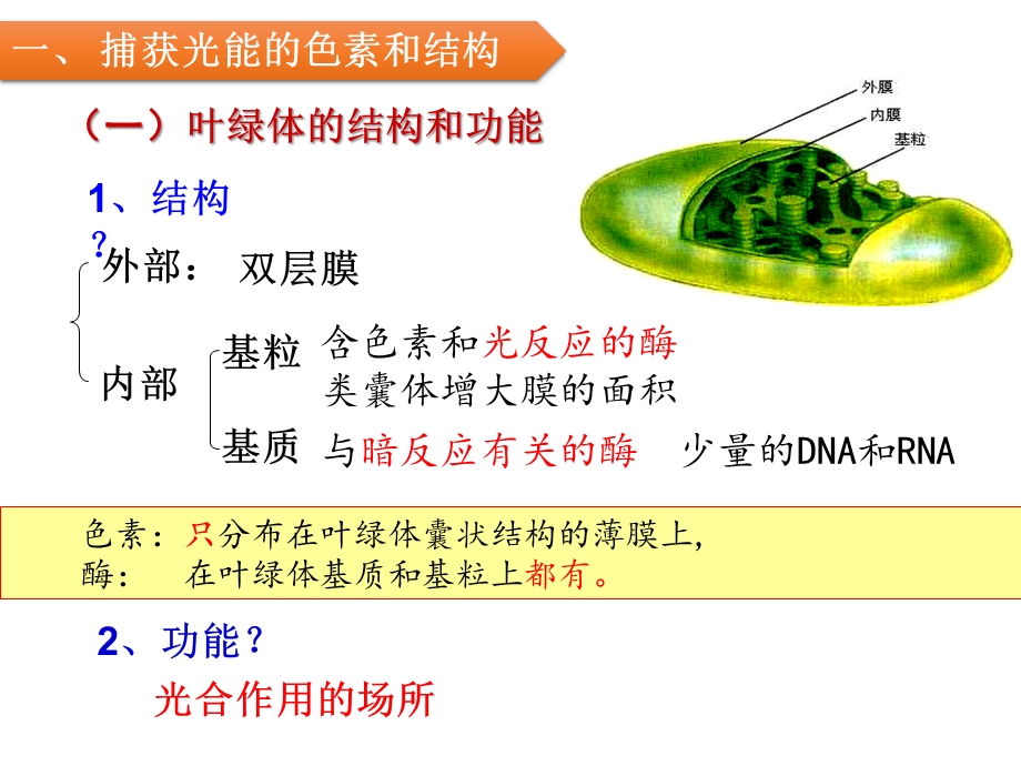 高三一轮复习：光合作用课件.pptx_第3页