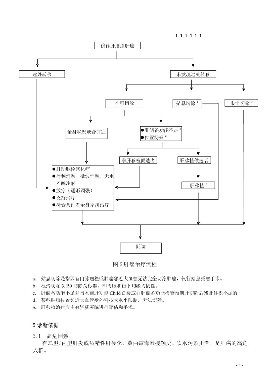 卫生部肝细胞肝癌规范化诊治指南.doc_第3页