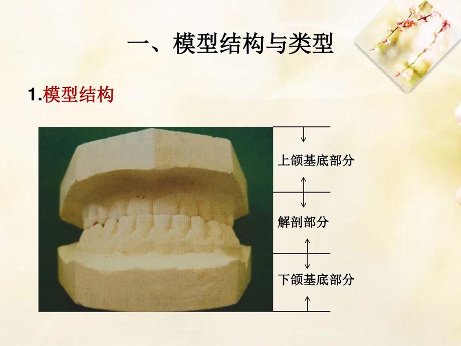 印模制取与石膏模型灌注课件.ppt_第2页