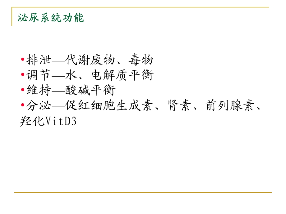 大学课程病理学肾小球肾炎1ppt课件.ppt_第3页