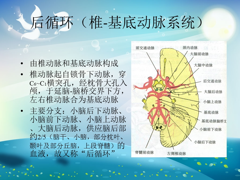 后循环缺血ppt课件.ppt_第3页