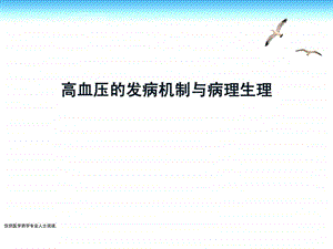 高血压的发病机制与病理生理图文课件.ppt