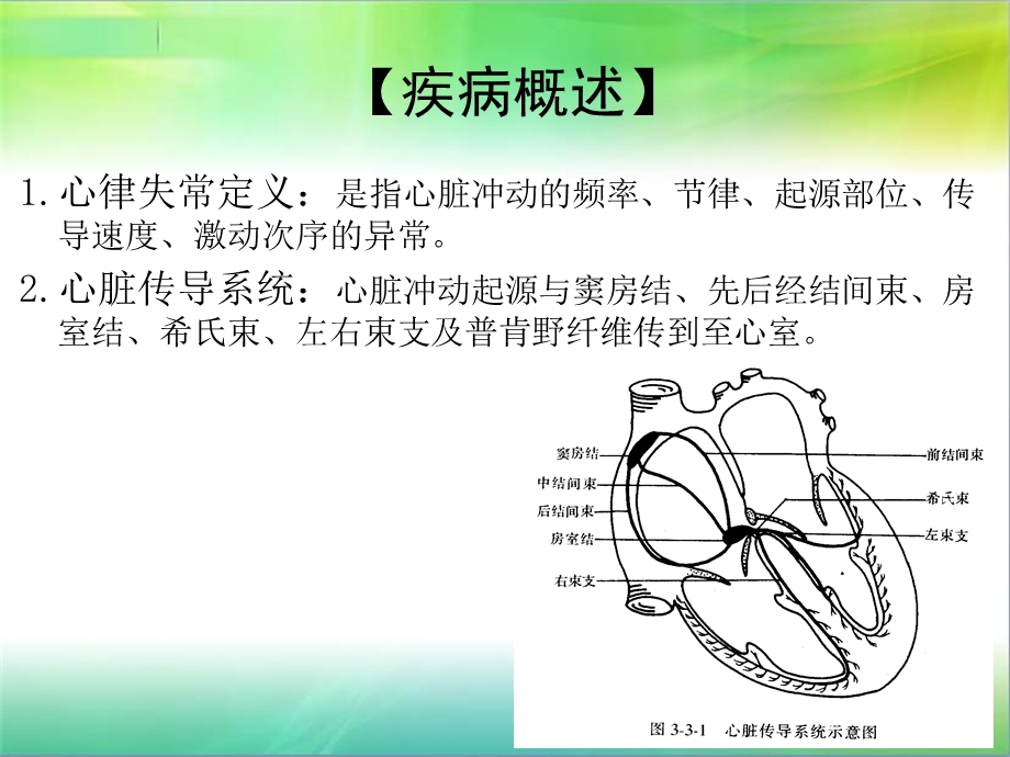 心律失常病人的护理查房课件.ppt_第1页