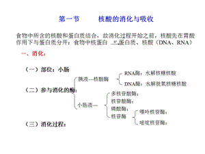 核酸的降解及核苷酸的代谢概述核酸是一种高分课件.pptx