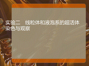 实验二 线粒体与液泡系的超活体染色课件.ppt