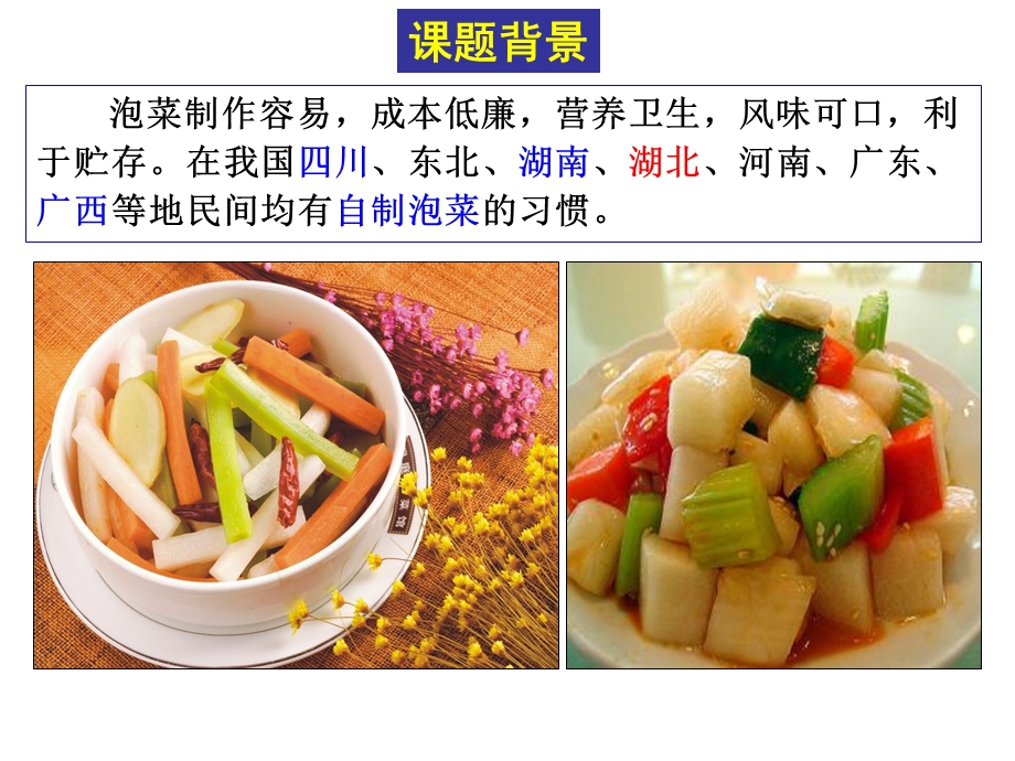 实验泡菜的腌制和亚硝酸盐的测定课件.ppt_第2页