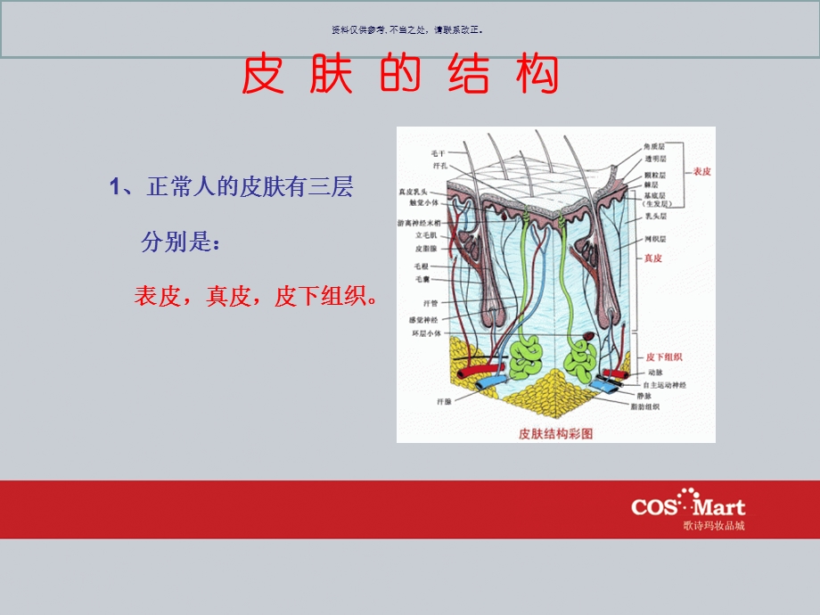 护肤知识培训课件.ppt_第1页