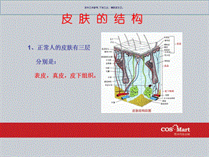 护肤知识培训课件.ppt