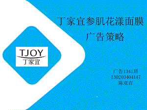 某推广策略概要课件.ppt