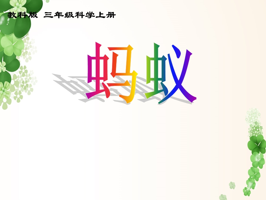 教科版小学科学《蚂蚁》课件.ppt_第2页