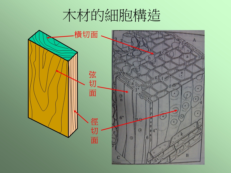 木材含水率控制和影响课件.pptx_第2页