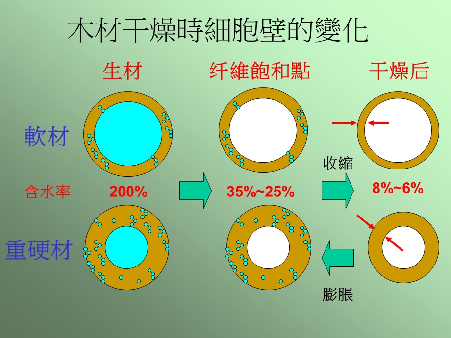 木材含水率控制和影响课件.pptx_第3页