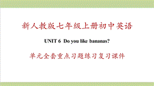 新人教版初一上册英语 Unit 6 Do you like bananas 单元全套重点习题练习复习ppt课件.ppt