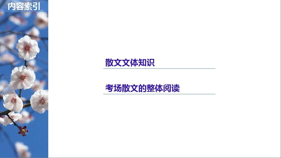 文学类文本阅读·散文阅读课件.ppt_第2页