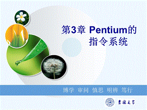 微型计算机技术与应用第3章Pentium的指令系统课件.ppt