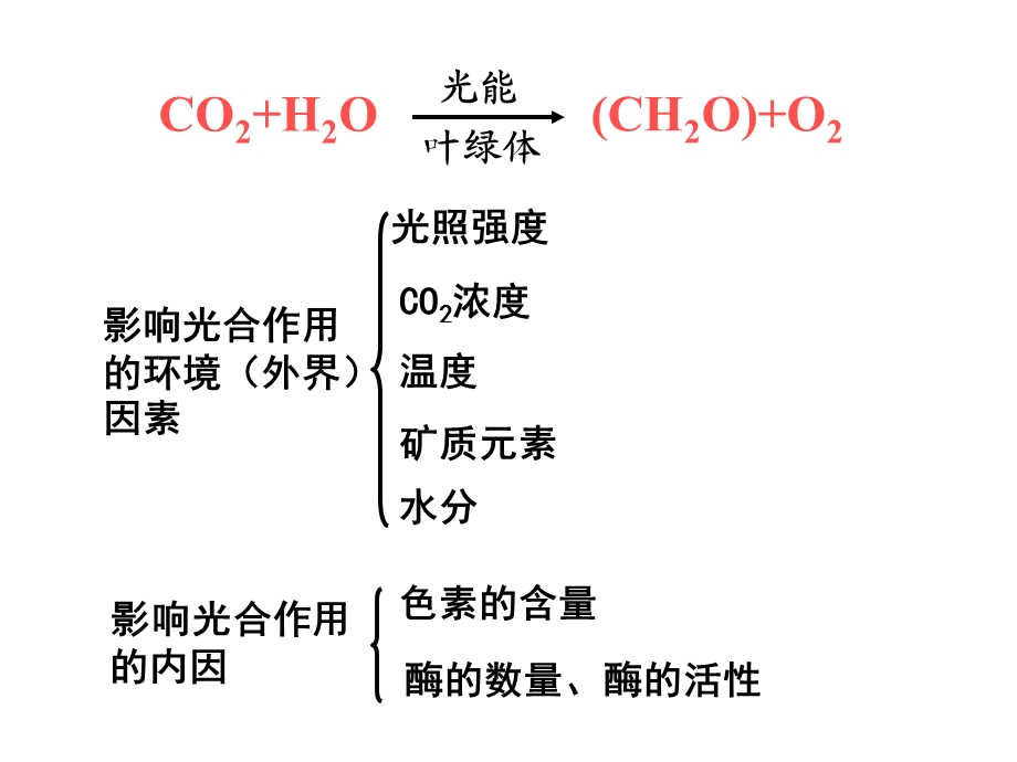 影响光合作用的环境因素课件.ppt_第2页