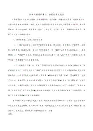 街道两新组织建设工作经验亮点做法.docx