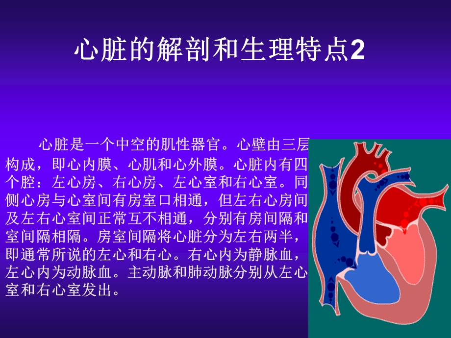 心脏超声解剖ppt课件.ppt_第3页