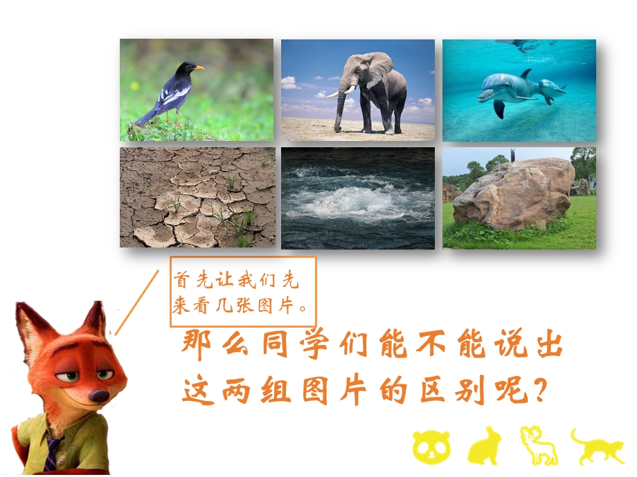 小学生物小课堂 生物和生物圈课件.pptx_第3页