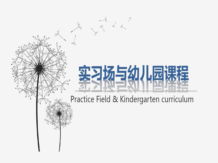 实习场与幼儿园课程课件.ppt_第2页