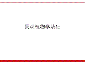 景观植物学基础课件.ppt