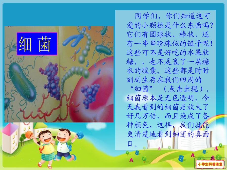 小学生细菌科普ppppt课件.ppt_第2页