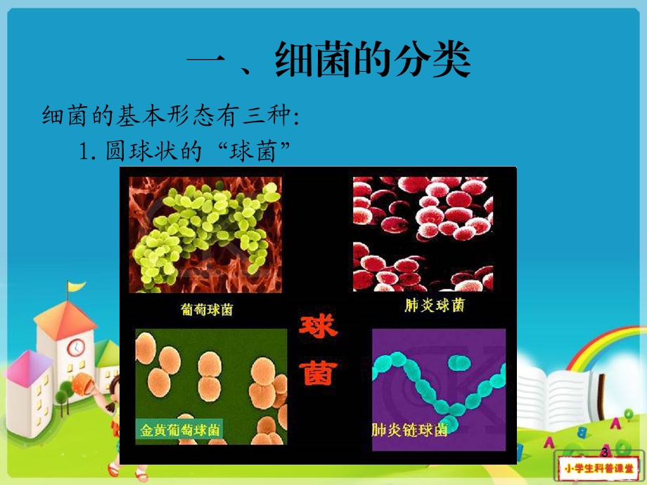 小学生细菌科普ppppt课件.ppt_第3页