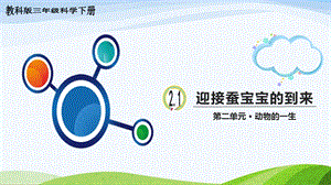 教科版三年级下册科学2.1《迎接蚕宝宝的到来》教学ppt课件.ppt