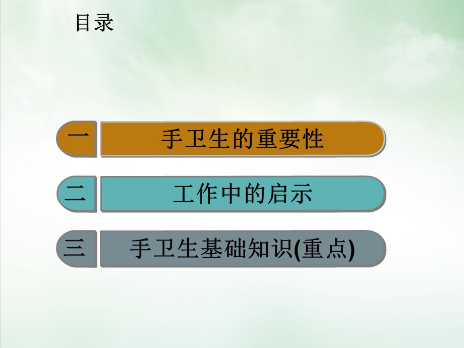 手卫生手卫生规范课件.ppt_第2页