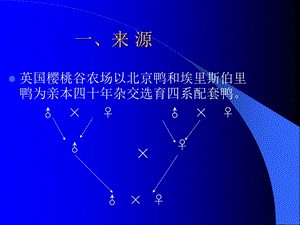 樱桃谷肉种鸭的饲养管理课件.ppt