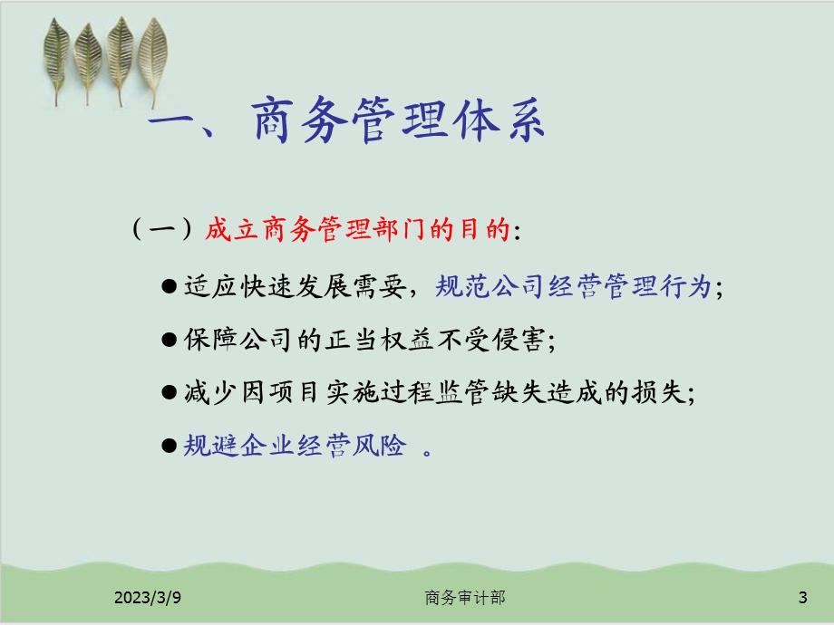 审计岗位新员工培训商务与审计课件.ppt_第3页