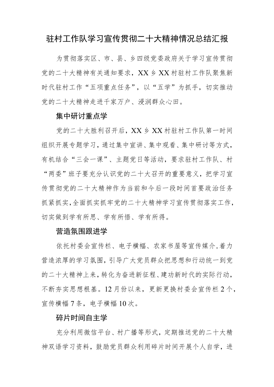 驻村工作队学习宣传贯彻二十大精神情况总结汇报.docx_第1页