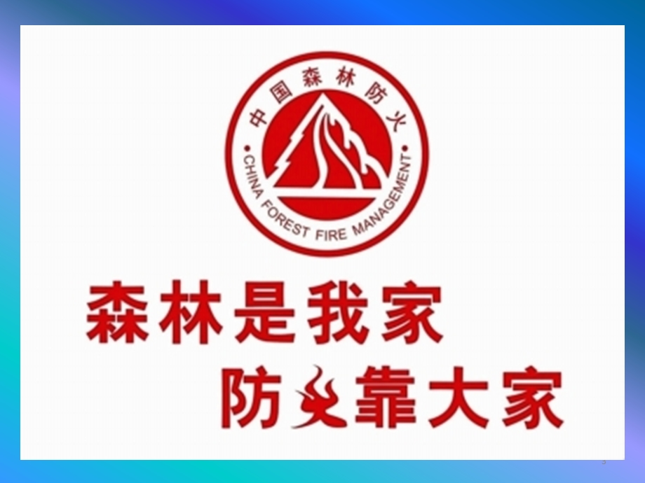 森林防火知识教育pp课件.ppt_第3页