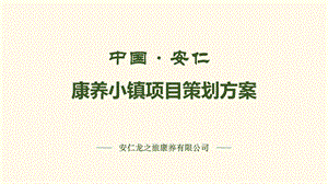 某小镇项目策划方案课件.ppt