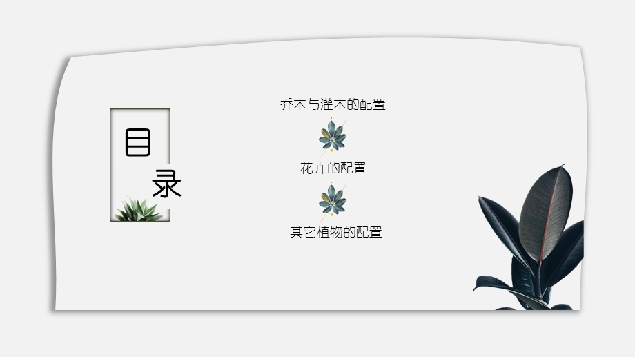 植物种植设计参考ppt课件.ppt_第2页