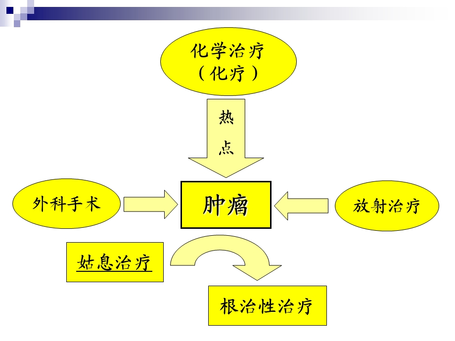 抗肿瘤药物的毒性反应课件.ppt_第2页