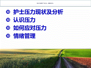 护士职业压力与情绪管理ppt课件.ppt