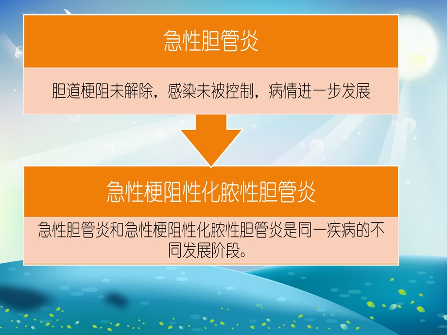 急性梗阻性化脓性胆管炎的护理ppt课件.ppt_第3页