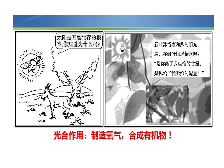 微专题光合的作用科学史课件.ppt_第2页